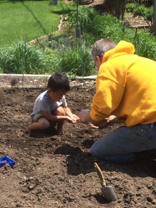 Todd and Oliver gardening